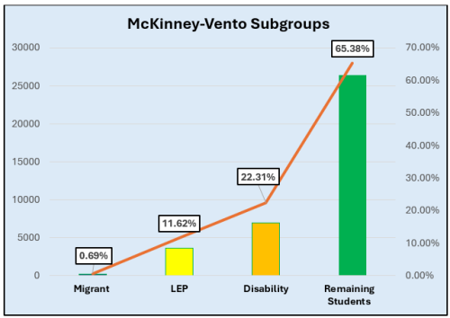 NC McKinney-Vento Subgroups data