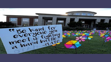 decorative - pinwheels on school lawn